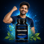 Punararambh Power Regain - Image 2