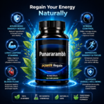 Punararambh Power Regain - Image 3